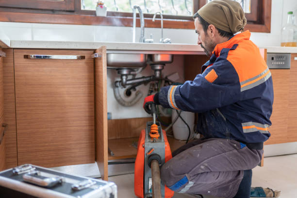 Best Clogged Drain Plumber  in Vla Grove, IL