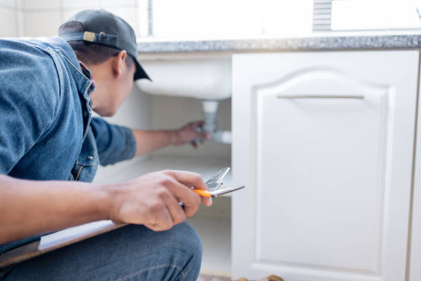 Best Shower Repair Services  in Vla Grove, IL