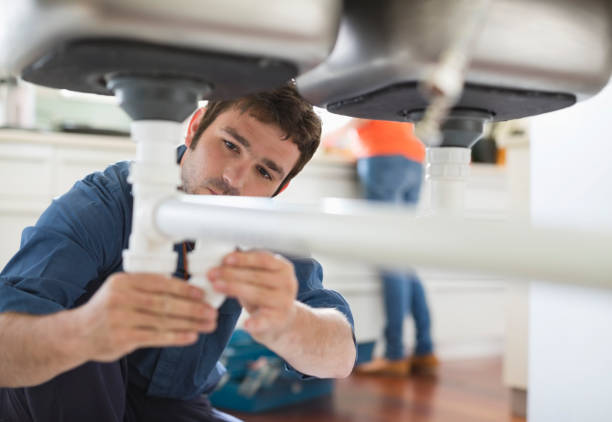 Best Affordable Plumbing Services  in Vla Grove, IL