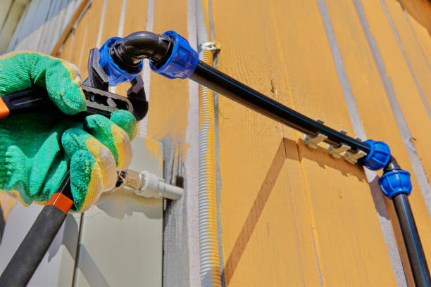 Best Water Leak Repair  in Vla Grove, IL